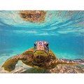 Versatraction VersaTraction's Kahuna Grip Bathmat - Sea Turtle 1 KG-JNAHST1